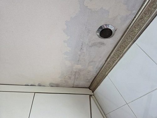 부산 서구 누수탐지 천장 얼룩 위치를 확인하는 현장 점검 모습